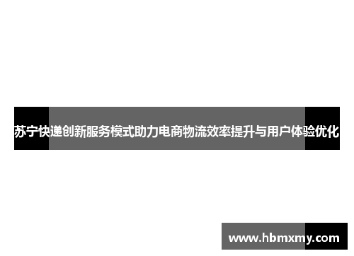 苏宁快递创新服务模式助力电商物流效率提升与用户体验优化